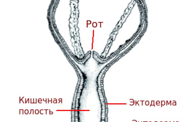 Кракен 12at сайт