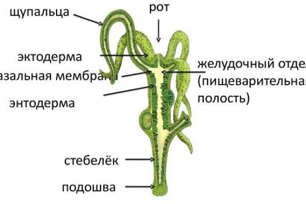 Kra37.cc Вход на сайт главная страница