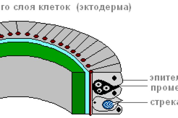 Рабочая ссылка кракен в тор