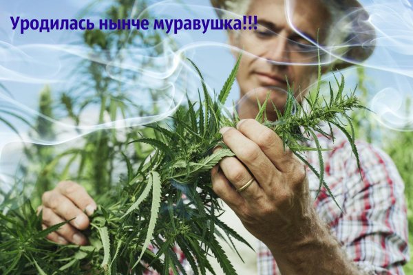 Кракен сайт 18