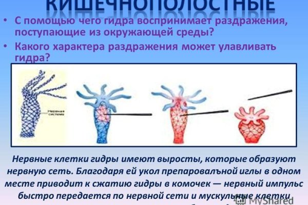 Кракен kr2connect co