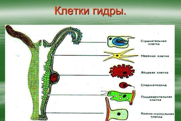 Кракен маркетплейс актуальные ссылки