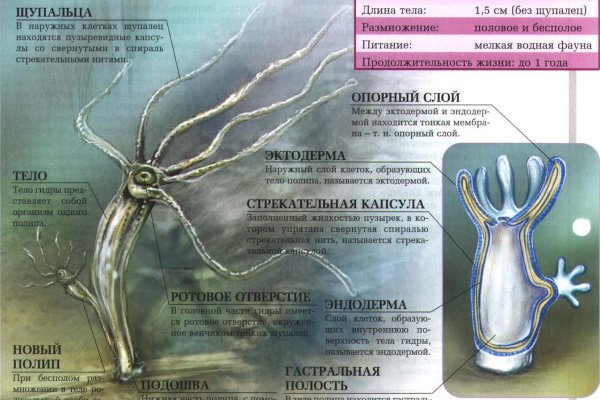 Ссылки сайтов даркнета