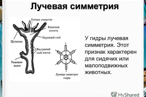 Кракен маркетплейс реклама текст
