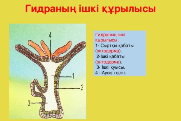Кракен маркетплейс что