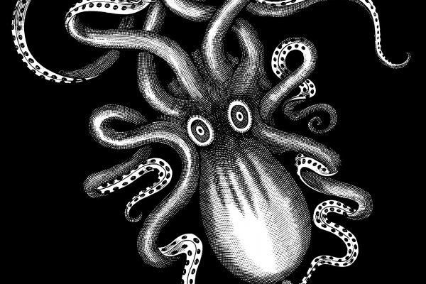 Kraken актуальное